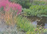 20200718_135428.jpg 20200718_135428.jpg