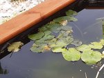 20200802_111457.jpg 20200802_111457.jpg