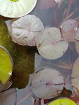 20200802_130807.jpg 20200802_130807.jpg