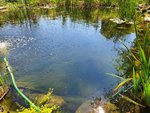 20200808_140333.jpg