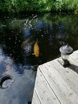 IMG_20200906_140450.jpg