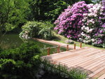 115-1559_IMG.JPG 115-1559_IMG.JPG
