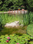 117-1756a_IMG.JPG 117-1756a_IMG.JPG