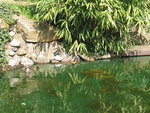 127-2797_IMG.JPG 127-2797_IMG.JPG