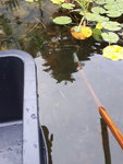 20200907_165412.jpg 20200907_165412.jpg