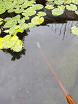20200907_165425.jpg 20200907_165425.jpg