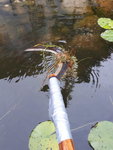 20200907_165901.jpg 20200907_165901.jpg