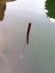 20200907_170738.jpg 20200907_170738.jpg