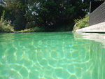 DSCN4506.JPG