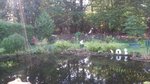 20200915_101440.jpg