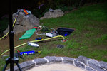 DSC_5796.jpg