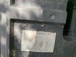 IMG_9626.JPEG IMG_9626.JPEG