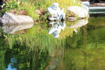 IMG_6623.JPG