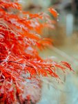 2706E409-091D-431E-911F-D4D79492A526.jpeg