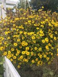 IMG_8375.JPG