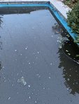 IMG_5746.jpg IMG_5746.jpg