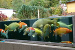 DSC04115.jpg DSC04115.jpg