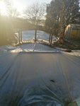 IMG_20201219_091813.jpg