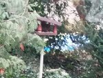 IMG_20201225_092929.jpg