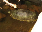 IMG_6424.JPG IMG_6424.JPG