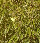 _20210221_120022.JPG