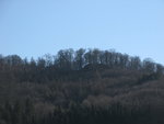 IMG_6463.JPG