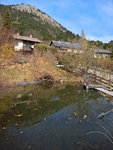 WP_20210401_11_58_39_Rich.jpg