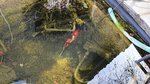 20210409_104721.jpg 20210409_104721.jpg