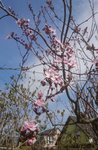 _20210411_160537.JPG