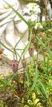 _20210418_141402.JPG