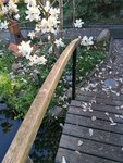 IMG_20210420_180918.jpg