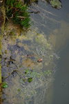 DSC02437.JPG