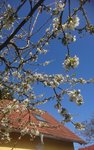 _20210509_085349.JPG