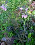 _20210528_145443.JPG