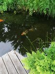 IMG_20210605_195138.jpg