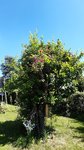 20210613_110625.jpg