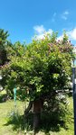 20210613_110640.jpg