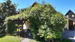 20210613_151420.jpg