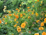 2021_06_15_IMG_2444.JPG