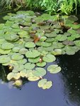IMG_20210617_204833.jpg