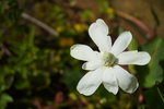 DSC02554.JPG
