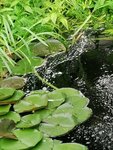 IMG_20210625_165759.jpg