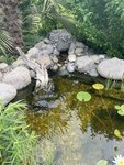 947F8799-CACA-46C9-BA74-8BF1040EE554.jpeg 947F8799-CACA-46C9-BA74-8BF1040EE554.jpeg