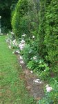 20210629_144550.jpg