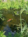 IMG_20210703_115147.jpg