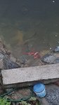 20210708_212822.jpg 20210708_212822.jpg