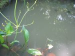 IMG_0021.jpg