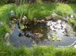 DSC00175 1.JPG