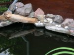 DSCN2629.JPG