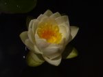 PICT2546.JPG
